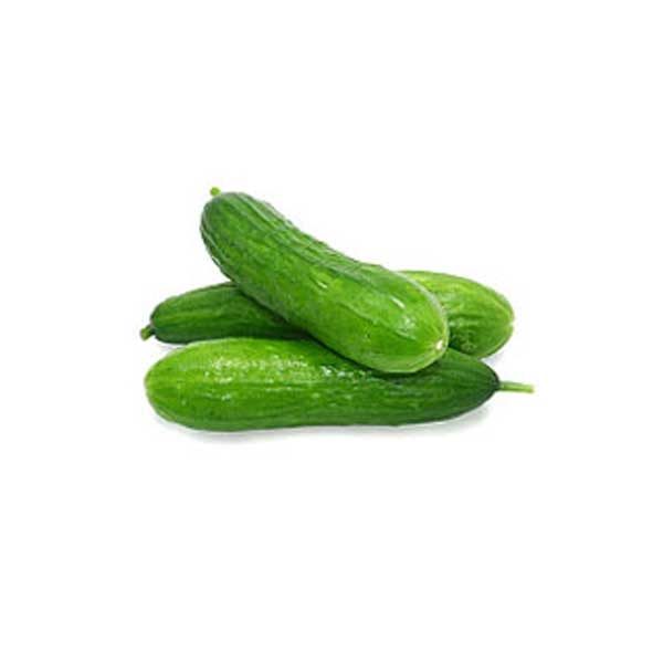 خیار بذر اصفهان ۱کیلوگرمی