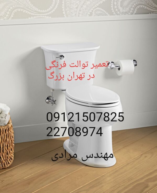 فروش_خدمات و تعمیر توالت فرنگی توتو toto 09121507825 - Image 6