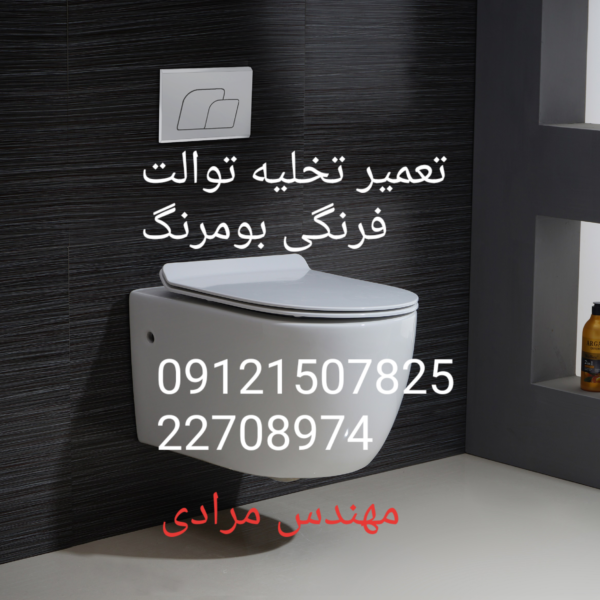 فروش_خدمات و تعمیر توالت فرنگی boomerang بومرنگ 09121507825 - Image 5