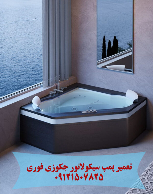 تعمیر پمپ سیرکولاتور جکوزی