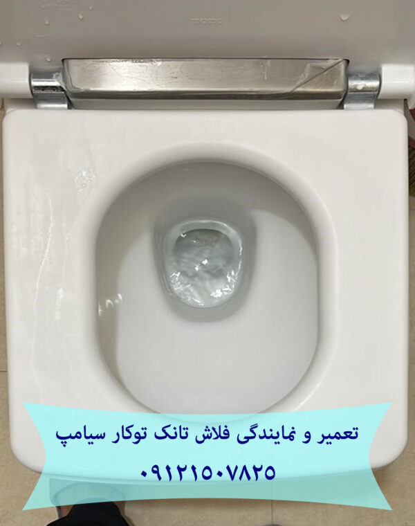 تعمیر و خدمات فلاش تانک توکار سیامپ